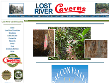 Tablet Screenshot of lostcave.com